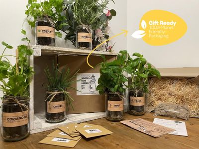 Indoor Herb Garden Jar Kit – 3-Pack Grow Set