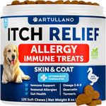 Allergy Medicine For Dogs