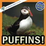 Puffins!: A My Incredible World Picture Book for Children (My Incredible World: Nature and Animal Picture Books for Children)