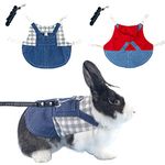 2 PCS Rabbit Harness and Leash Small Animals Clothes Hooded Outfit for Bunny Guinea Pig Harness Small Pet Hoodies for Kitten Tiny Puppy Adult Hedgehog and Other Small Breeds (A, Large)