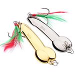 Braceus Metal Fishing Lure Bass Freshwater Saltwater Casting Hard Bait Treble Hook Golden 15g