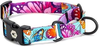 Wolfgang Premium Martingale Dog Collar for Large Dogs, Durable Nylon Dog Collar with Quick Clip Buckles, for Training & Daily Use, Made in USA, FlutterColor Print, (1 Inch x 18-22 Inch)