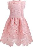 ALLOVIN Girls and Toddler Sleeveless A-Line Lace Party Dress Thick Lace Large Floral Design Flower Girl Princess Dress | Light Pink | 3-4T