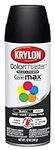 Krylon K05160202 ColorMaster Paint 