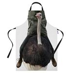 Bang Tidy Clothing Kitchen Cooking Apron Ostrich Ride Funny Baking Novelty Gifts for Women