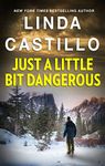 Just a Little Bit Dangerous (High Country Heroes Book 2)