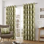 Fusion - Woodland Trees - 100% Cotton Pair of Eyelet Curtains - Green - 90" Width x 90" Drop (229 x 229cm)