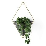 Wall Sconce For Plants