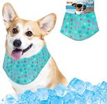 MAX Chill Out Dog Ice Bandana, Instant Cooling Pet Bandana, Breathable Scarf Dog Cat Ice Collar for Summer (M)