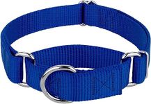 For Your Pets Martingale Collar for Medium Dogs Collar with Durable Metal Buckle Adjustable Nylon Pet Collar Prevent Slipping Out Medium Breed Collars for Dog (Blue)