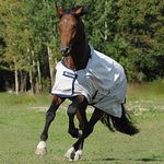 Bucas Sun Shower Turnout Sheet 78