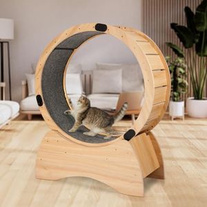Cat Exercise Wheel, Cat Wheel with Carpeted Runway, Cat Running Wheel for Indoor Cats, Kitty Cat Sport Toy, Great for Physical Activity and Reducing Boredom (Basic Model)