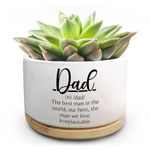 Jutasty Birthday Gifts for Dad from Son Daughter, Succulent Plant Pots for Father Birthday, Unique Flower Planter Gifts for Dad Daddy, Best Dad Ever, New Dad Gifts for Husband Father (No Plants)