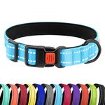 CollarDirect Reflective Padded Dog Collar for a Small, Medium, Large Dog or Puppy with a Quick Release Buckle Boy and Girl Nylon Suitable for Swimming (12-16 Inch Light Blue Padded)