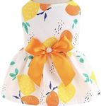 KUTKUT Small Girl Dog & Cat Summer Dress with Lovely Bow Pet Apparel | Puppy Dress Birthday Pet Apparel Dress | Frock Dress for Shihtzu, Pug, Lhasa Apso etc (Size: XL, Bust: 50cm)