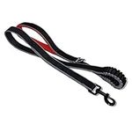 Kurgo Springback(TM) Dog Leash, Red/Black, 48"