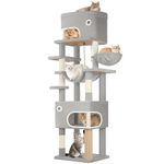 Hzuaneri 203 cm Cat Tree for Indoor Cats, Multi-layer Scratching Post with Large Platform, 2 Caves, 7 Sisal Posts, Pompoms, Cat Basket, Hammock, Suitable for Cats, Light Grey MS20318LG