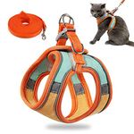 Cat Harness Leash, Soft and Comfortable Cat Vest Harness, Adjustable Cat Harness for Kitten, Puppy (Medium, Orang and Green)