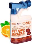 Sunny & Honey Turf Cleaner for Pet Urine Outdoors - Kid & Pet Safe - Artificial Grass Cleaner for Dog Urine - Long Lasting Scent - Odor Neutralizer for Concrete - All Outdoor Surfaces - Orange, 32oz