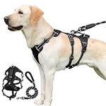 XSpecial Dog Harness Medium with Dog Lead, Anti Pull Dog Harness, Reflective Adjustable Soft Padded Dog Harness No Pull with Front Back Clips, Easy Control Handle for Training or Walking