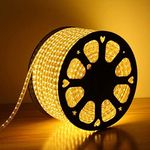 Desidiya ® 30 Meter LED Rope Light for Decoration-Waterproof Decorative Lights,Cove Light for Ceiling | LED Pipe Light for Home Decor | Led Strip Lights for Diwali Decoration,Birthday (Warm White)