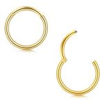 Briana Williams 2pcs Hinged Nose Hoop Lip Helix Septum Tragus Helix Rook Earrings Ring Clicker Segment Gold Piercing 20G 6mm