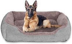 Animal Planet Orthopedic Dog Beds