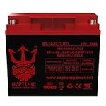 Neptune Power Products 12V 22AH Gel