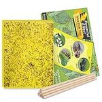 Kensizer 20-Pack Dual-Sided Yellow Sticky Traps for Flying Plant Insect Like Fungus Gnats, Whiteflies, Aphids, Leaf Miners, Thrips, Other Flying Plant Insects - 6x8 Inches, Twist Ties Included