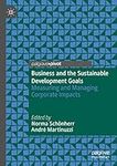 Business and the Sustainable Development Goals: Measuring and Managing Corporate Impacts