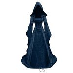 Women Deluxe Witch Dress Halloween Cosplay Costumes Vintage Embroidered Renaissance Gothic Hooded Vampire Gown Dresses Blue