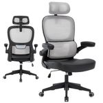 ESTRUCO Office Chair High Back Ergonomic Desk Chair with Adjustable Lumbar Support and Headrest Swivel Task Chair with flip-up Armrests(Gray/Black)