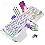 Wireless Gaming Keyboard and Mouse,