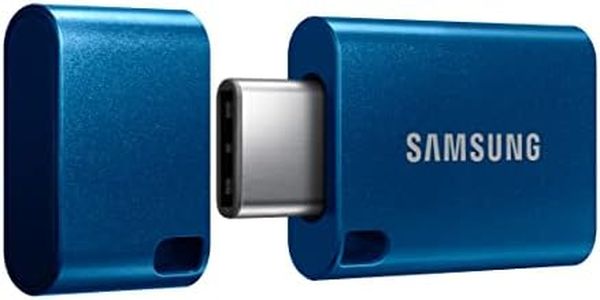 Samsung Type-C USB Flash Drive, 256GB, Transfers 4GB Files in 11 Secs w/Up to 400MB/s 3.13 Read Speeds, Compatible w/USB 3.0/2.0, Waterproof, 2022, Blue (MUF-256DA/AM)