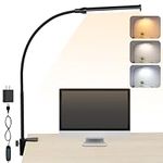 ShineTech LED Desk lamp with Clamp,
