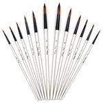 YOUSHARES 12 Pcs Art Paint Brush Se