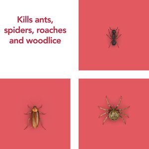 Raid Ant & Cockroach Killer Spray, Indoor Insect Control, 6 x 300ml