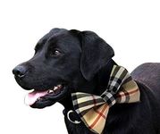 That Dog In Tuxedo Navy Blue Furberry Dog Bow tie with Adjustable Collar (Navy Blue, XL)