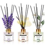 Soul & Scents Lavender, Vanilla and Jasmine Reed Diffuser Glass Set|Free 6 Fiber Reed Sticks with Each|Toxin Free & Stress Relief|Room Freshener for Home, Bedroom|Combo Pack of 3-120ml Each