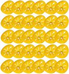 Alvinlite 30pcs Wasp Trap, Flower‑Shaped Wasp and Hornet Traps, Reusable Fatal Funnel Bee Catcher Flying Insects Funnel for Yellow Jackets, hornets