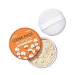 Drugstore Translucent Powders