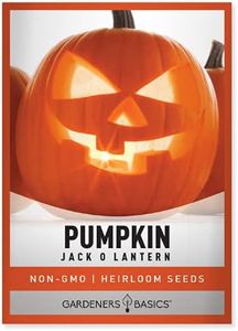 Gardeners Basics, Pumpkin Seeds for Planting (Jack O Lantern) Heirloom, Non-GMO Vegetable Variety- 2 Grams Seeds Great for Summer Pumpkin Gardens