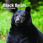 2025 Black Bears Monthly Wall Calendar by Bright Day, 12 x 12 Inch Cute Nature Photography Gift