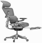 HINOMI H1 Pro V2 Ergonomic Office Chair with Footrest - Executive Desk Chair with Dynamic Lumbar Support, Computer Chair with Flip Up Arms, Comfy Mesh Home Office Chair (Grey, Medium)