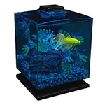 GloFish Betta Aquarium Kit 1.5 Gall