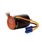 Spektrum SPMXSEM0501 Company Brushless Motor/ESC 2-in-1 Combo, 6000Kv, Multicoloured