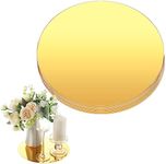 Thyle 12 Pcs 10 Inch Acrylic Round 