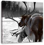 Pixxprint Reindeer in the snow 70x70 cm canvas print decoration, wall picture, ready stretched, art print