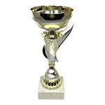 Express Medals 9.75 Inch Gold and Silver Trophy Cup - Event, Sport Tournaments, Competitions, Recognition Gift or Award, 9.75 Inches Tall x 3.9 Inches Wide. AMC335-C