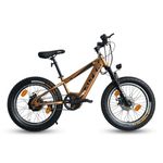Alter 20" HANZORX Kids Electric Cycle with 24V 250W BLDC Hub Motor | 7.8Ah Lithium-ion Battery | Double Wall Alloy Rim with Water Decals | 95% Pre-Assembled with Charger (Bronze & Black)